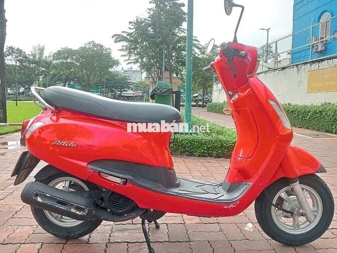 Attila Elizabeth Bstp máy Ngon