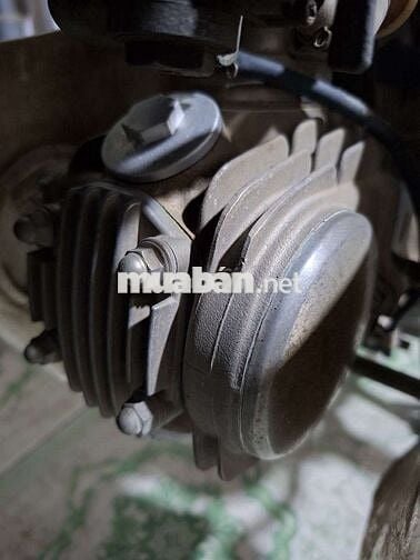 Dream việt nam nguyên bản mộc mạc