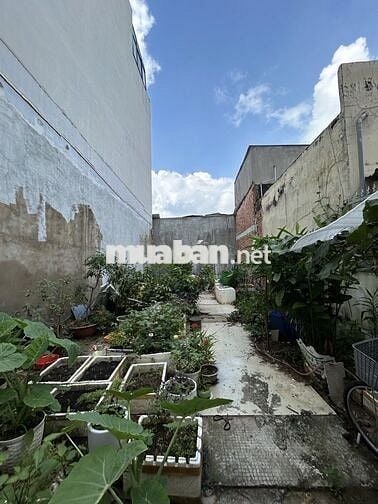 Đất sổ riêng tại Lê Văn Lương Phước Kiển - Đối diện HAGL An Tiến. Shr