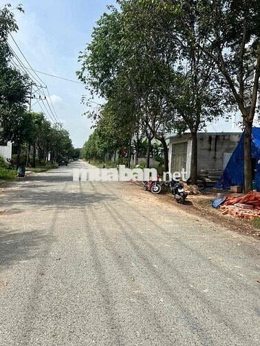 Chính chủ cần bán đất 150m2 thổ cư đường N12 MP4 thới hoà , bến cát