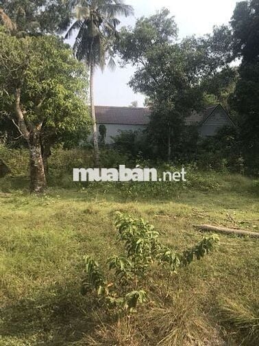 Bán đất lớn gần biển , gần QL80 Hà Tiên