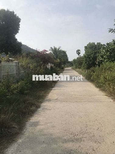 Bán đất lớn gần biển , gần QL80 Hà Tiên