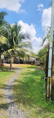 BÁN NHÀ VƯỜN KÈM KHU TRANG TRẠI ĐÃ XD HOÀN THIỆN CƠ BẢN, HỆ SINH THÁI