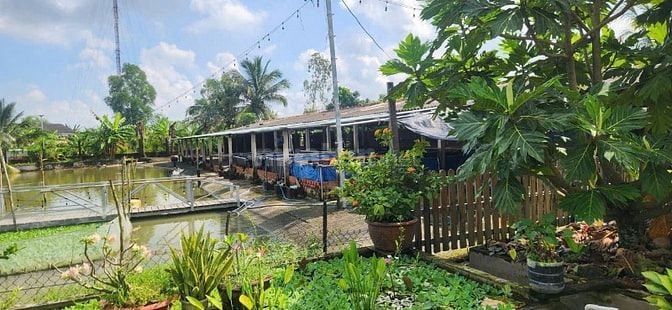 BÁN NHÀ VƯỜN KÈM KHU TRANG TRẠI ĐÃ XD HOÀN THIỆN CƠ BẢN, HỆ SINH THÁI