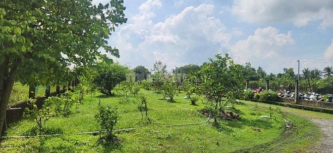 BÁN NHÀ VƯỜN KÈM KHU TRANG TRẠI ĐÃ XD HOÀN THIỆN CƠ BẢN, HỆ SINH THÁI