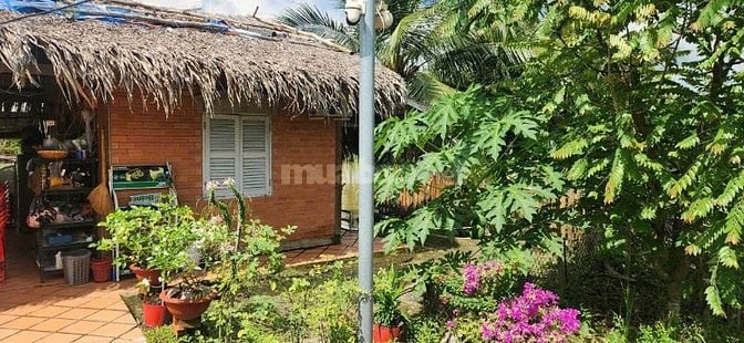 BÁN NHÀ VƯỜN KÈM KHU TRANG TRẠI ĐÃ XD HOÀN THIỆN CƠ BẢN, HỆ SINH THÁI