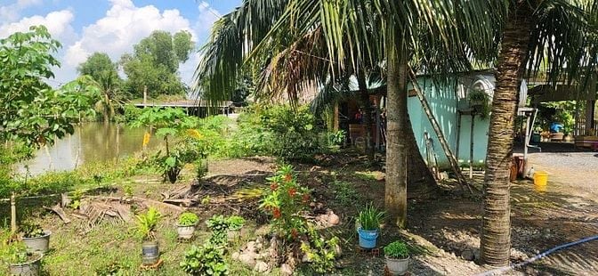 BÁN NHÀ VƯỜN KÈM KHU TRANG TRẠI ĐÃ XD HOÀN THIỆN CƠ BẢN, HỆ SINH THÁI