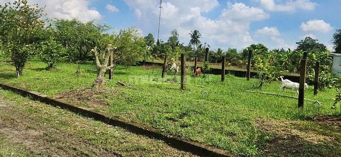 BÁN NHÀ VƯỜN KÈM KHU TRANG TRẠI ĐÃ XD HOÀN THIỆN CƠ BẢN, HỆ SINH THÁI