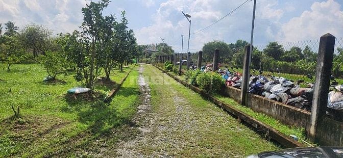 BÁN NHÀ VƯỜN KÈM KHU TRANG TRẠI ĐÃ XD HOÀN THIỆN CƠ BẢN, HỆ SINH THÁI