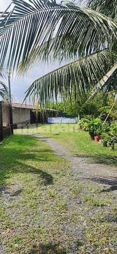 BÁN NHÀ VƯỜN KÈM KHU TRANG TRẠI ĐÃ XD HOÀN THIỆN CƠ BẢN, HỆ SINH THÁI