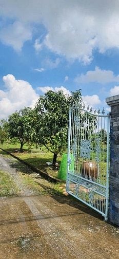 BÁN NHÀ VƯỜN KÈM KHU TRANG TRẠI ĐÃ XD HOÀN THIỆN CƠ BẢN, HỆ SINH THÁI