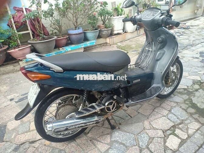 Xe yamaha novo giấy tờ đầy đủ