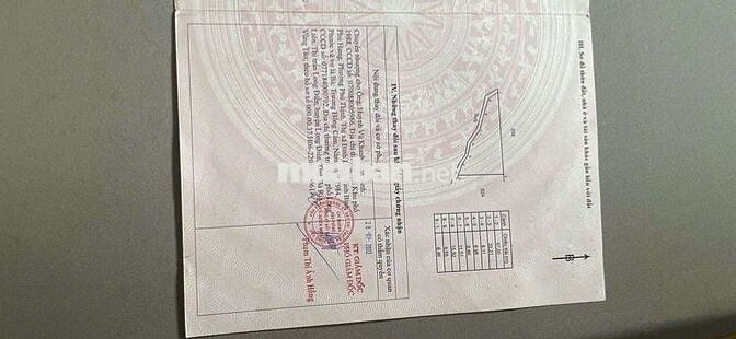 BÁN 1000 M2 CÓ SỔ CÓ ĐƯỜNG BRVT 290 TRIỆU