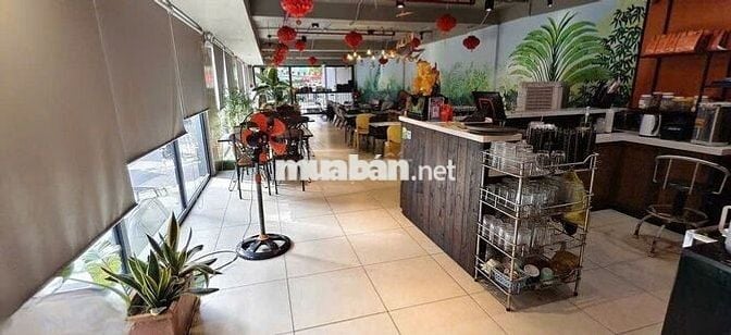 Cho Thuê Mặt Bằng Đường Bạch Đằng, Tân Bình ( 200m2 - KD Tự Do )