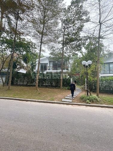 CC bán căn BT flamingo đại lải 317m2 đầy đủ nội thất giá đầu tư