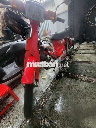 Dd đỏ mới sơn lại