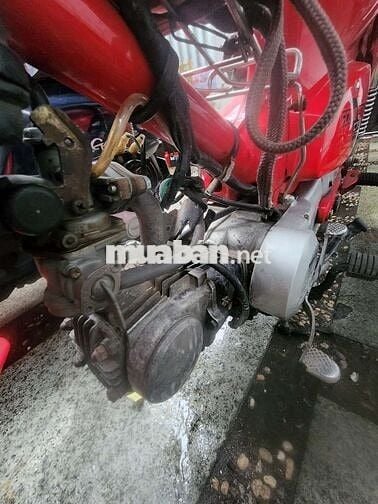 Dd đỏ mới sơn lại