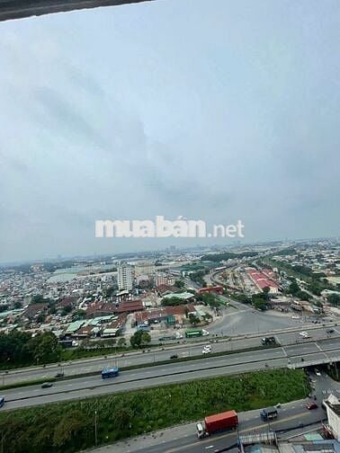 Cần bán căn 1 phòng ngủ Lotus Sen Hồng, chỉ 1.3 tỷ sổ hồng sẵn