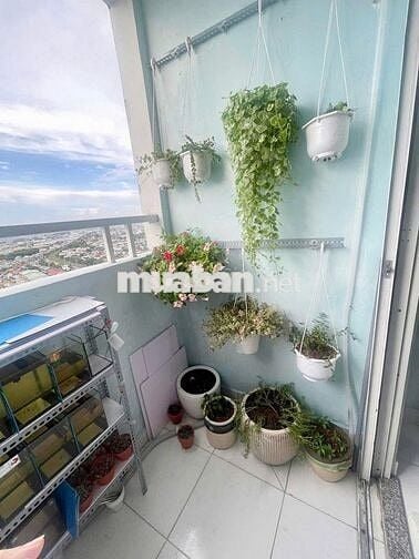 Cần bán căn 1 phòng ngủ Lotus Sen Hồng, chỉ 1.3 tỷ sổ hồng sẵn