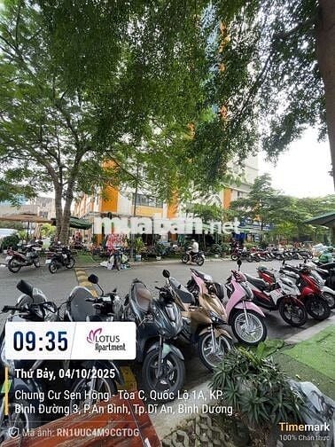 Cần bán căn 1 phòng ngủ Lotus Sen Hồng, chỉ 1.3 tỷ sổ hồng sẵn