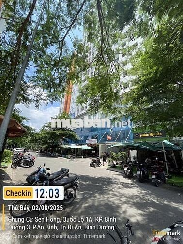 Cần bán căn 1 phòng ngủ Lotus Sen Hồng, chỉ 1.3 tỷ sổ hồng sẵn