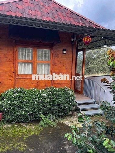 Bán . Nhà vườn ở Đồng Tiến - Đồng phú Có 5m mặt tiền đường bê tôn