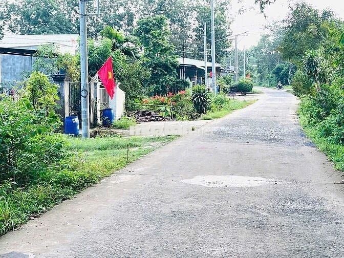 Chủ thở ô xi bán gấp miếng đất tặng nhà