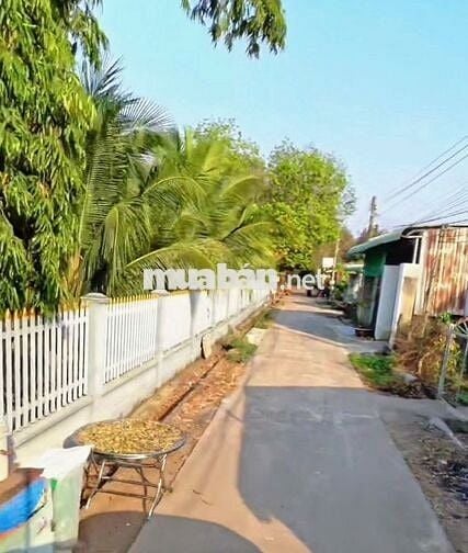 Bán Đất Tân Lập Đồng Phú Bình Phước