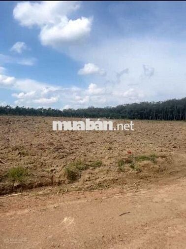 Cần bán đất mặt tiền đẹp giá rẻ