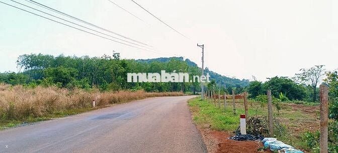 Tròn 1ha cách Khu CN Bắc Đồng Phú 700m, điện 3pha - có tách nhỏ bán