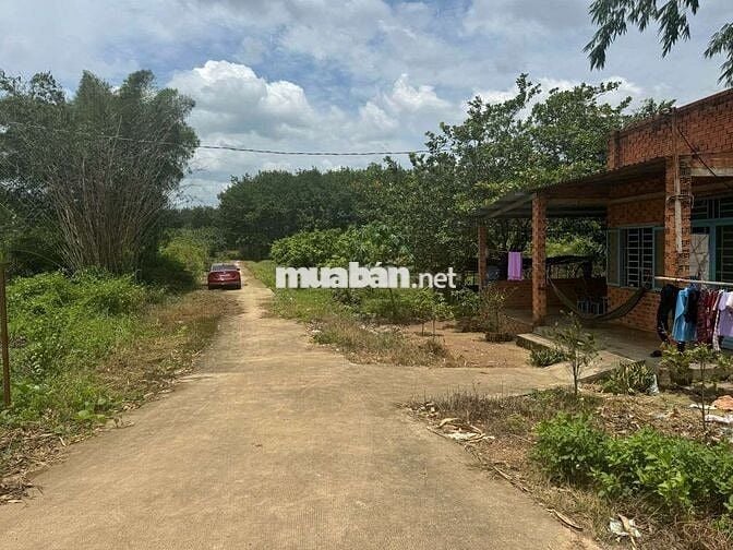 Đất ngộp bán gấp lô đất 400m2(12*32) 200m2 TC giá 550tr tại Đồng Phú