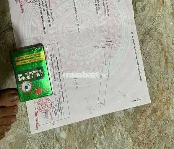 Chủ thở ô xi bán gấp miếng đất tặng nhà