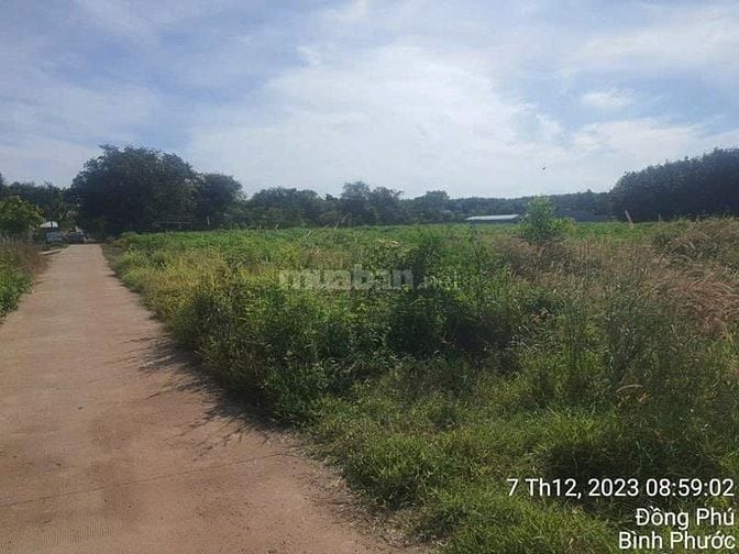 Công ty Đấu giá hợp danh Lam Sơn Sài Gòn THÔNG BÁO ĐẤU GIÁ TÀI SẢN