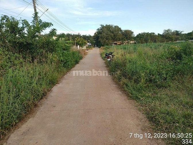 Công ty Đấu giá hợp danh Lam Sơn Sài Gòn THÔNG BÁO ĐẤU GIÁ TÀI SẢN