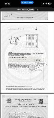 🌳 SỞ HỮU KHU ĐẤT NGHỈ DƯỠNG GẦN 3HA TẠI LÂM HÀ – LÂM ĐỒNG