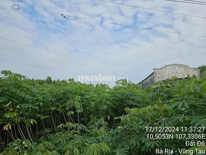 Công ty Đấu giá hợp danh Lam Sơn Sài Gòn THÔNG BÁO ĐẤU GIÁ TÀI SẢN