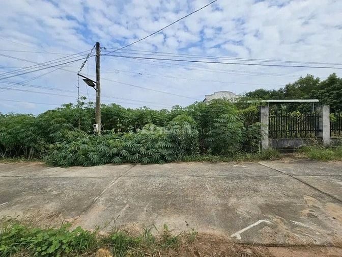 Công ty Đấu giá hợp danh Lam Sơn Sài Gòn THÔNG BÁO ĐẤU GIÁ TÀI SẢN