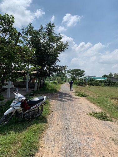 Chủ cần tiền trả nợ cho con út bán-Đức Hòa Thượng 7x32 ,224m2,850 tr