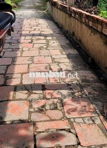 GIA ĐÌNH CẦN BÁN LÔ ĐẤT 104m2 TRUNG TÂM PHƯỜNG 4 TP VĨNH LONG GIÁ RẺ