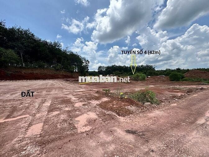 Ngay góc Ngã Tư với Tuyến 4 - từ Tuyến 4 tới đất đúng 80 mét
