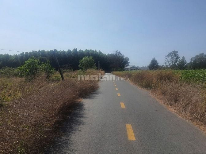 Công ty Đấu giá hợp danh Lam Sơn Sài Gòn THÔNG BÁO ĐẤU GIÁ TÀI SẢN