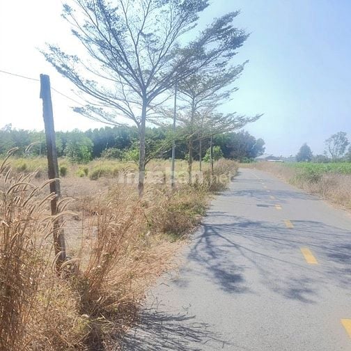 Công ty Đấu giá hợp danh Lam Sơn Sài Gòn THÔNG BÁO ĐẤU GIÁ TÀI SẢN