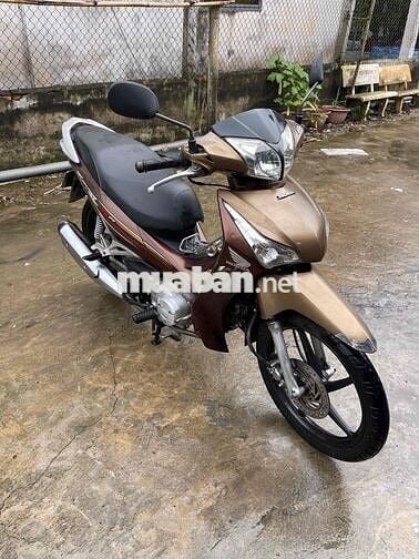 Future Fi bánh mân thắng đĩa biển 64 ngây chủ máy