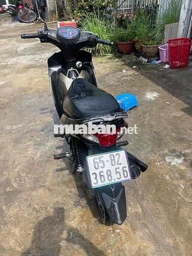 Surut Fi tiếc kiệm xăng biển 65 máy zin áo liền lạ