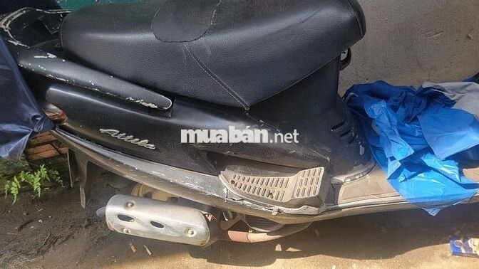 attila victoria 2008