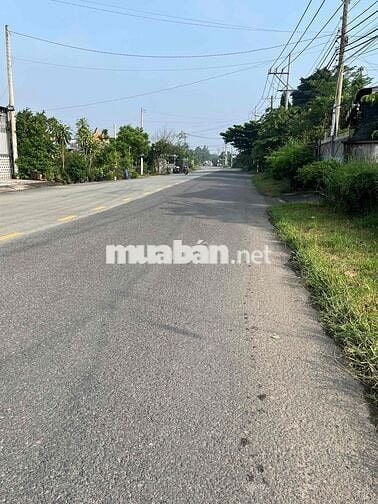 Đất thổ cư mặt tiền đường Ba Sa, Phước Hiệp, Củ Chi