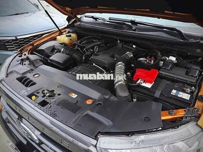 Ranger WILDTRACK 2019