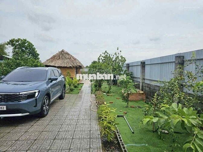 Đất vườn 1200m2 ngay trung tâm Gò Dầu, SHR, dân cư đông đúc, giá 1 tỷ