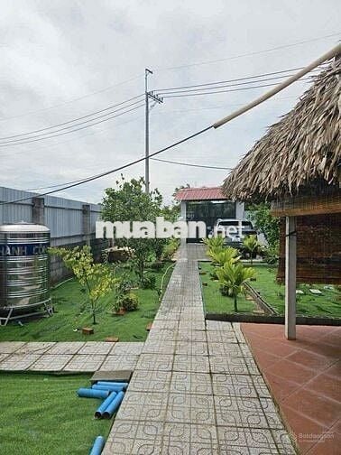 Đất vườn 1200m2 ngay trung tâm Gò Dầu, SHR, dân cư đông đúc, giá 1 tỷ