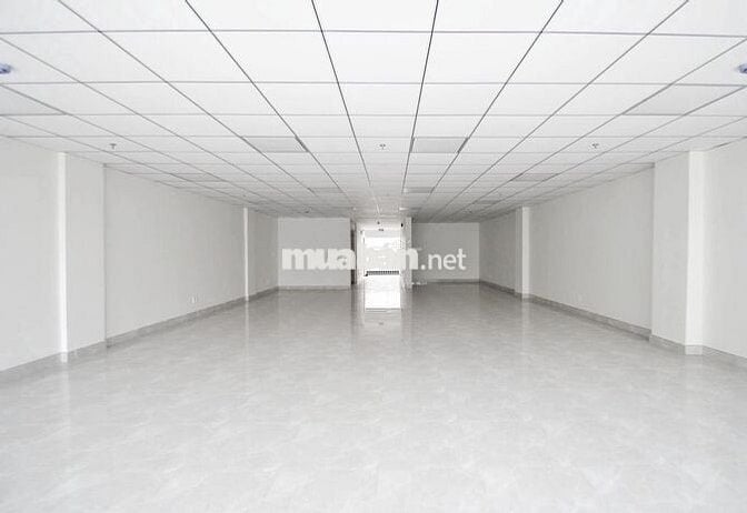 Cho thuê tòa nhà văn phòng Trường Sơn Tân Bình. Hầm 5 tầng, giá ưu đãi